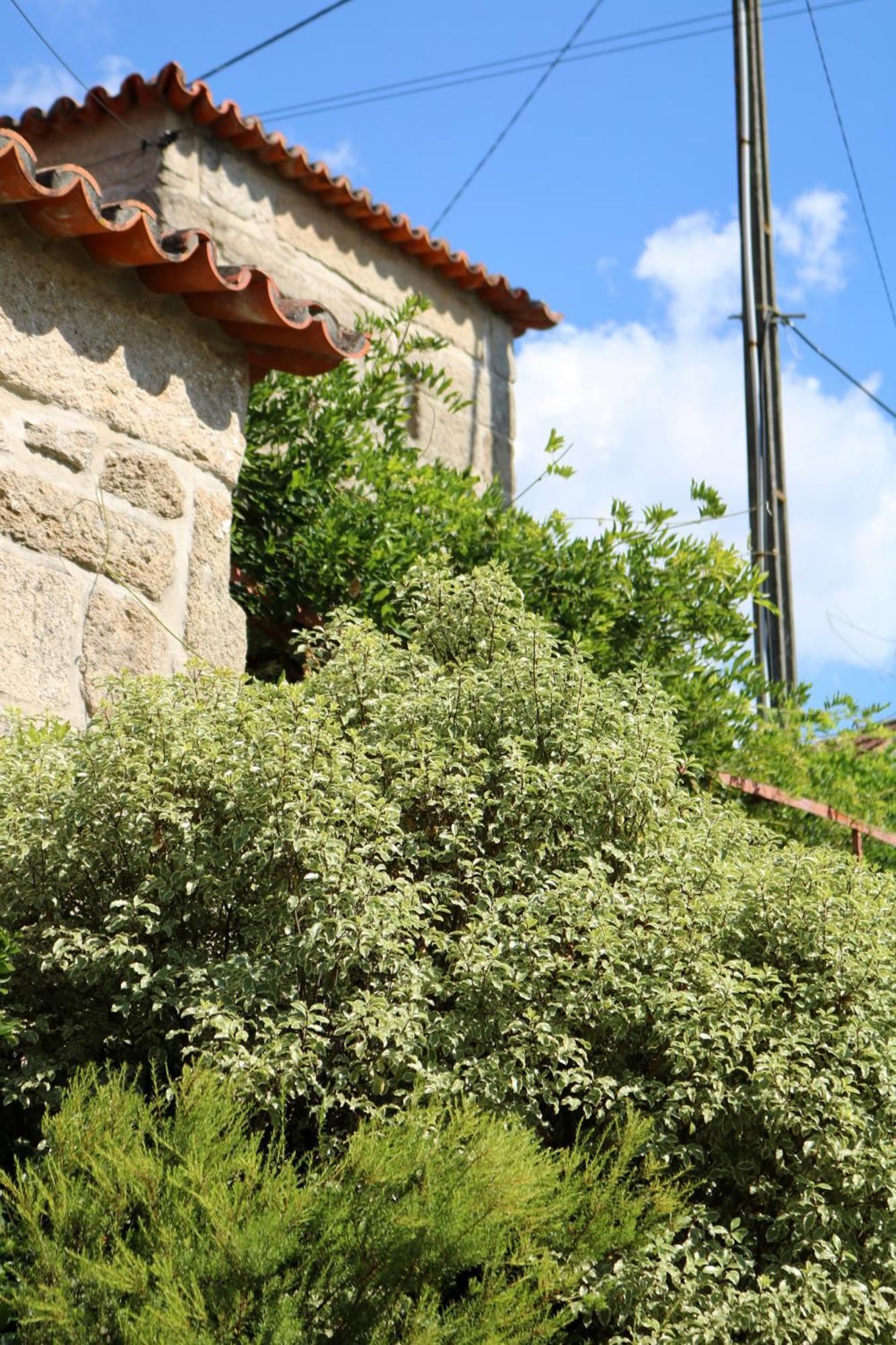 Casa Da Eira Βίλα Marco de Canavezes Εξωτερικό φωτογραφία